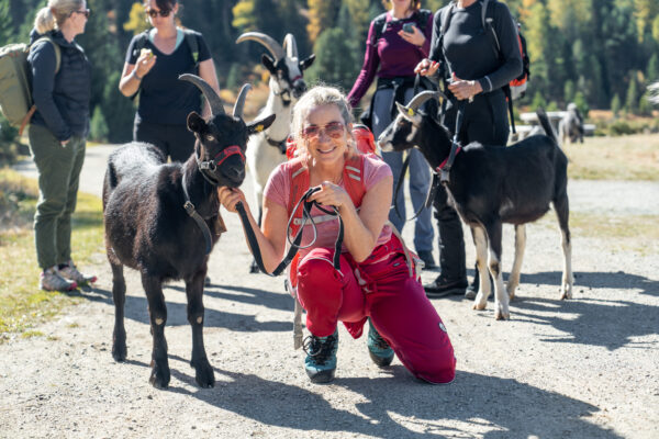 Wandern mit Ziegen || MICE Ladies Business & Balance St. Moritz Engadin // Bild: peerkolberg.de Wandern mit Ziegen || MICE Ladies Business & Balance St. Moritz Engadin // Bild: peerkolberg.de