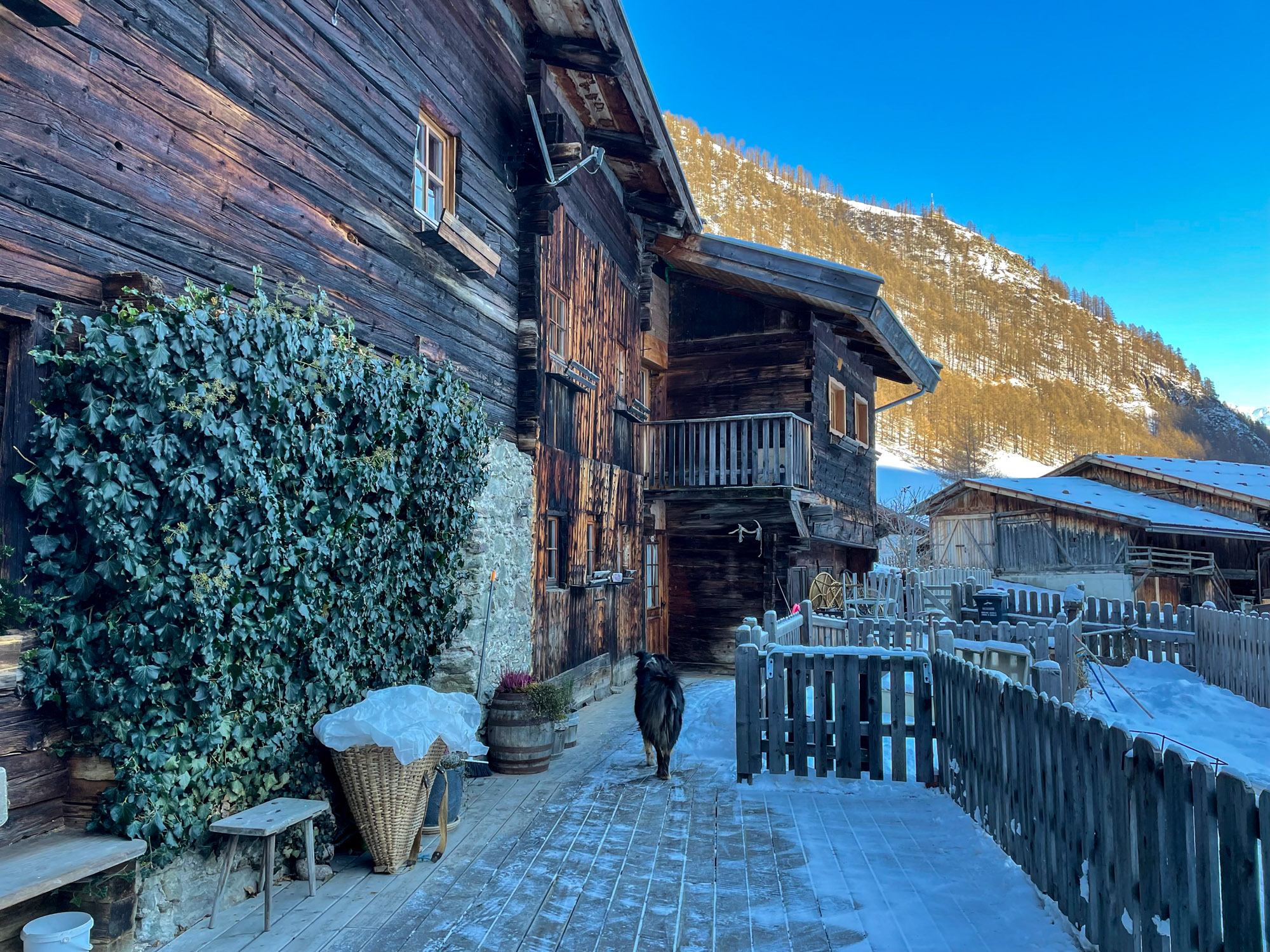 MICE Ladies "Ski meets Tradition" – the Winter Edition in Südtirol