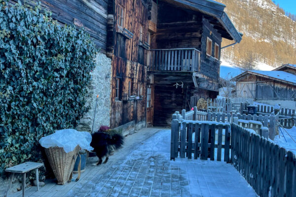 MICE Ladies "Ski meets Tradition" – the Winter Edition in Südtirol MICE Ladies "Ski meets Tradition" – the Winter Edition in Südtirol