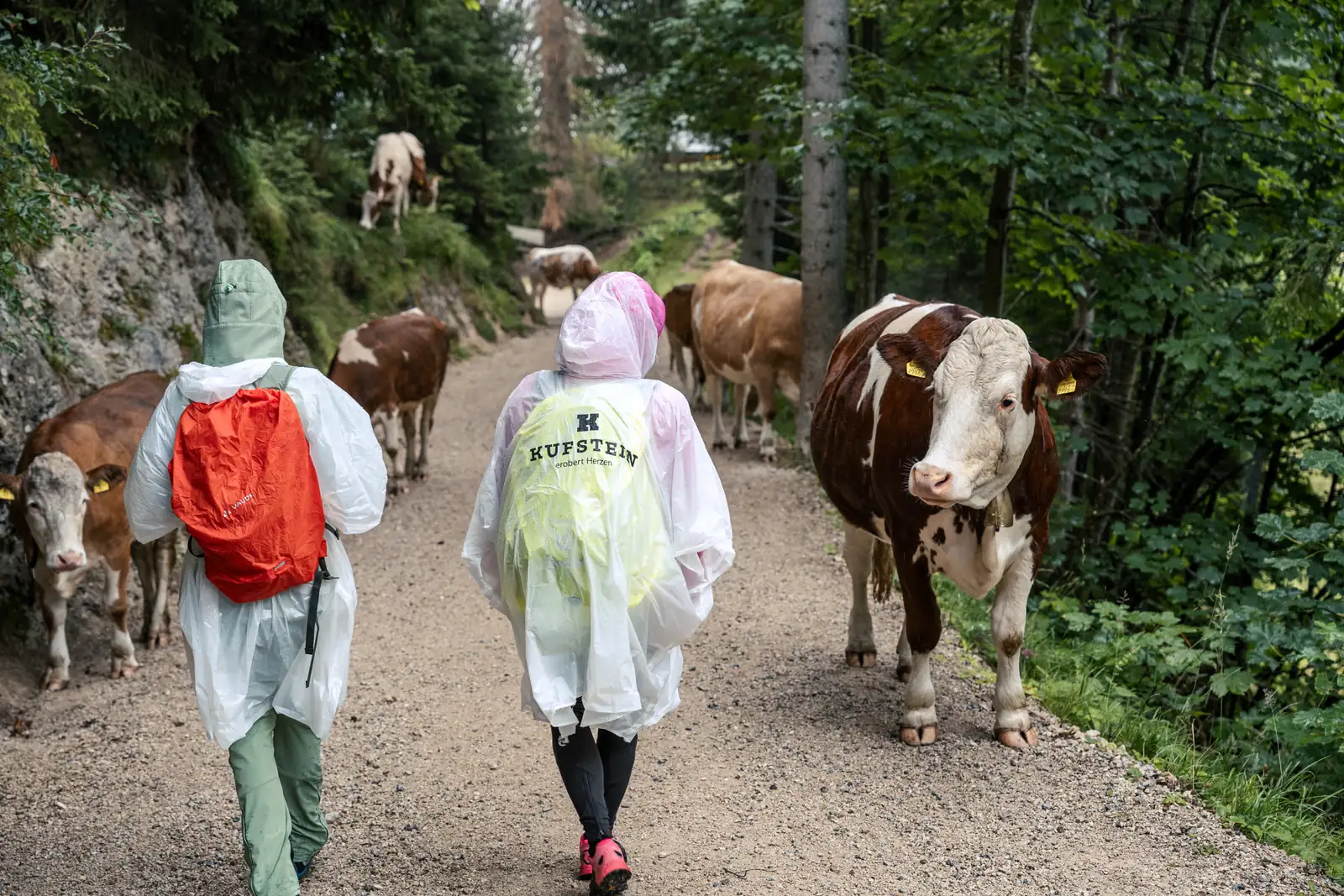 Achtsamkeitswanderung im Kufsteinerland MICE Ladies in Regenponchos bei einer Wanderung am Kaiserlift Kufstein